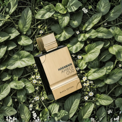 Haramain Amber Oud Black
